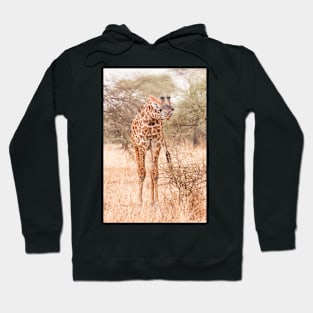 Serengeti Giraffe #2 Hoodie